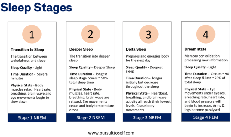 Sleep Stages